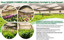 Carica l&#39;immagine nel visualizzatore di Gallery, Spider Farmer SF 2000, SE series, Meanwell driver, dimmer, samsung LED, flexiebel, grow light, gloeilicht, kweeklamp, ce certificaat, Osram, ppe 2.75 mol, samsung horticulture LED, high PPFD, wit licht, full spectrum, 300watt, daisy chain, energy saving, SE5000, yoyo, kwaliteit, hydroponic, grow tent, greenhouse, Samsung LED
